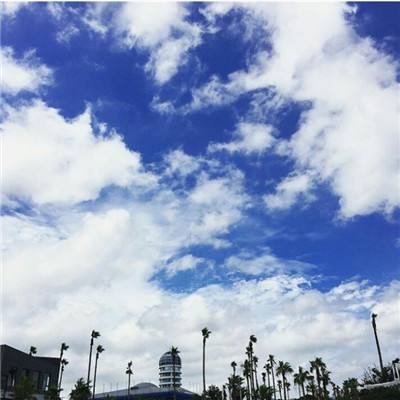 管家婆一码一肖资料