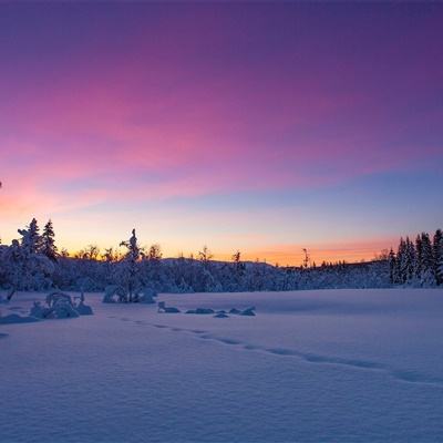 九游会存款优惠